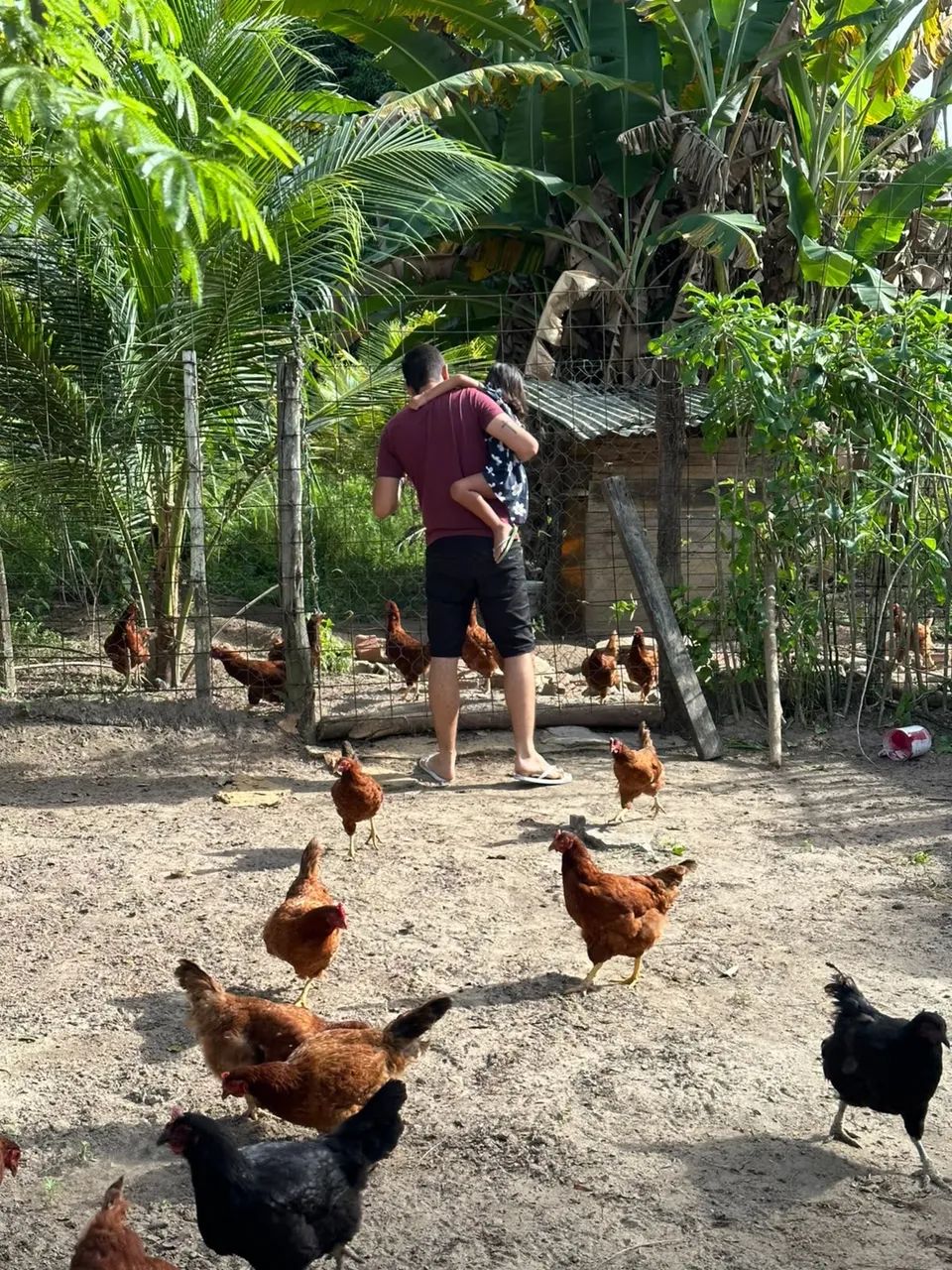 VENDE-SE CHÁCARA NO POVOADO MANGABEIRA - Foto 4