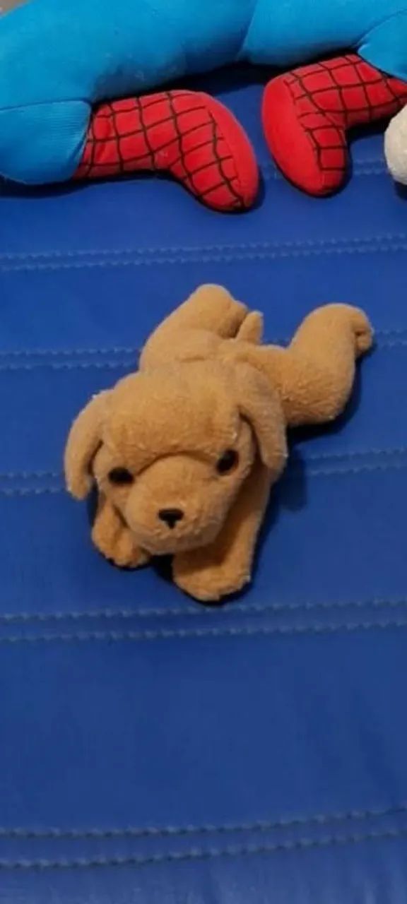 Pelucia