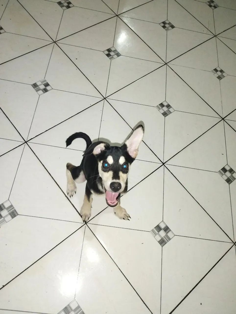 Para doação  - Foto 5