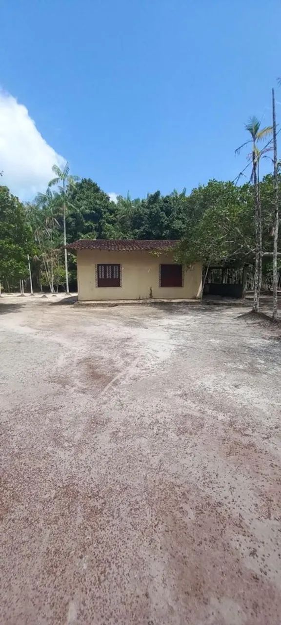 Sítio na ilha de trambioca Em Barcarena  - Foto 3