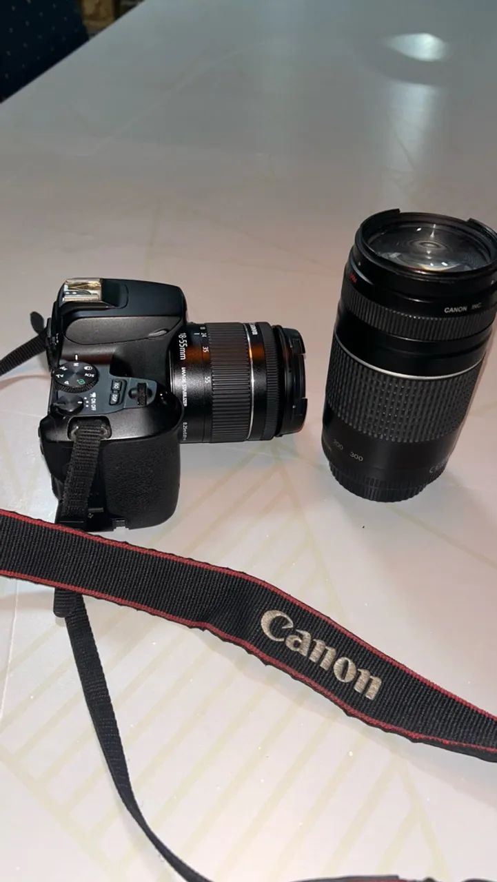 Cânon Sl3 com duas lentes 