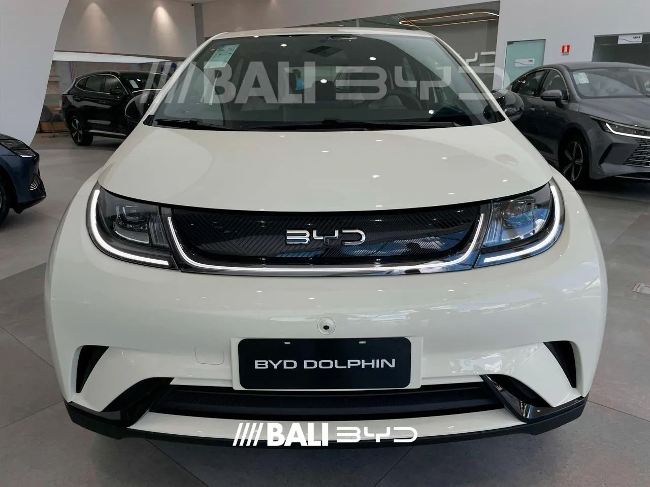 BYD Dolphin GS (Elétrico) 2027 - Foto 3
