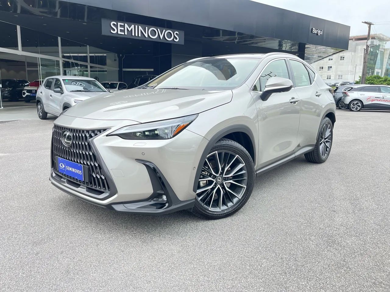 Lexus NX-450h+ AWD 2.5 16V Aut. (Híbrido), foto 2 de 14