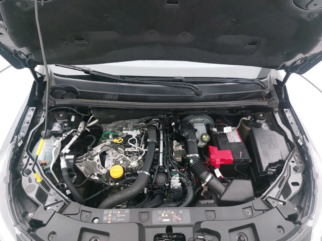 Renault Kardian Evolut. Flex 1.0 TB 12V 5p Aut., foto 10 de 18