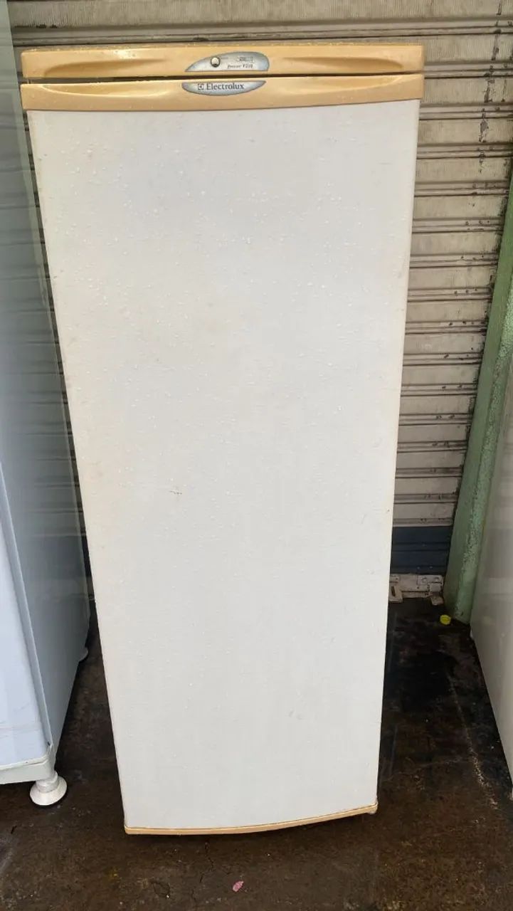 Frizer vertical 