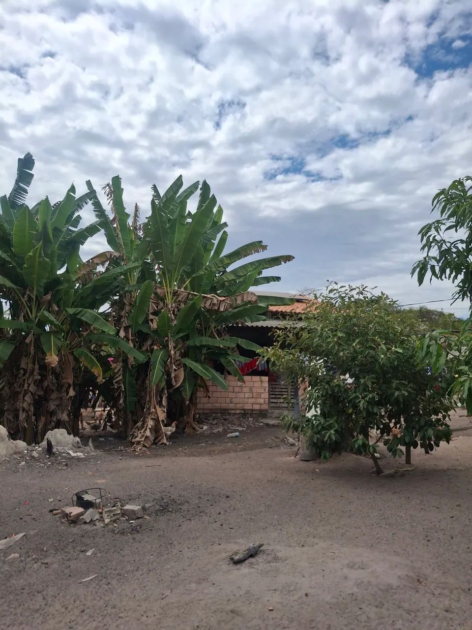 Vendo Casa - Foto 4