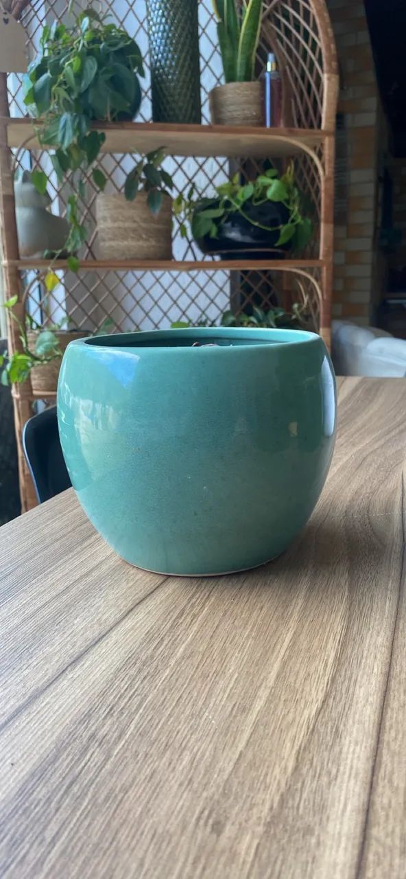 Vaso de planta PT15 Azul 