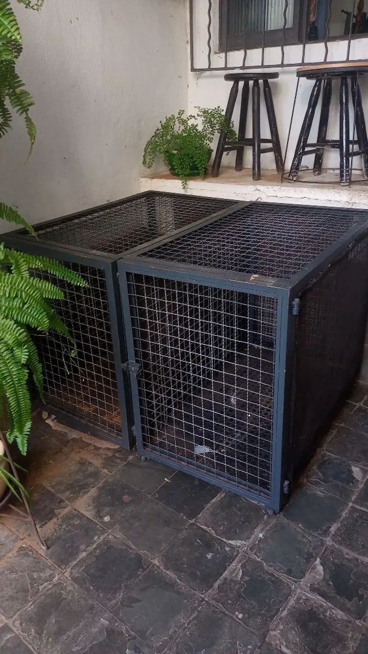 Gaiola para transporte com rodas 80x60x100
