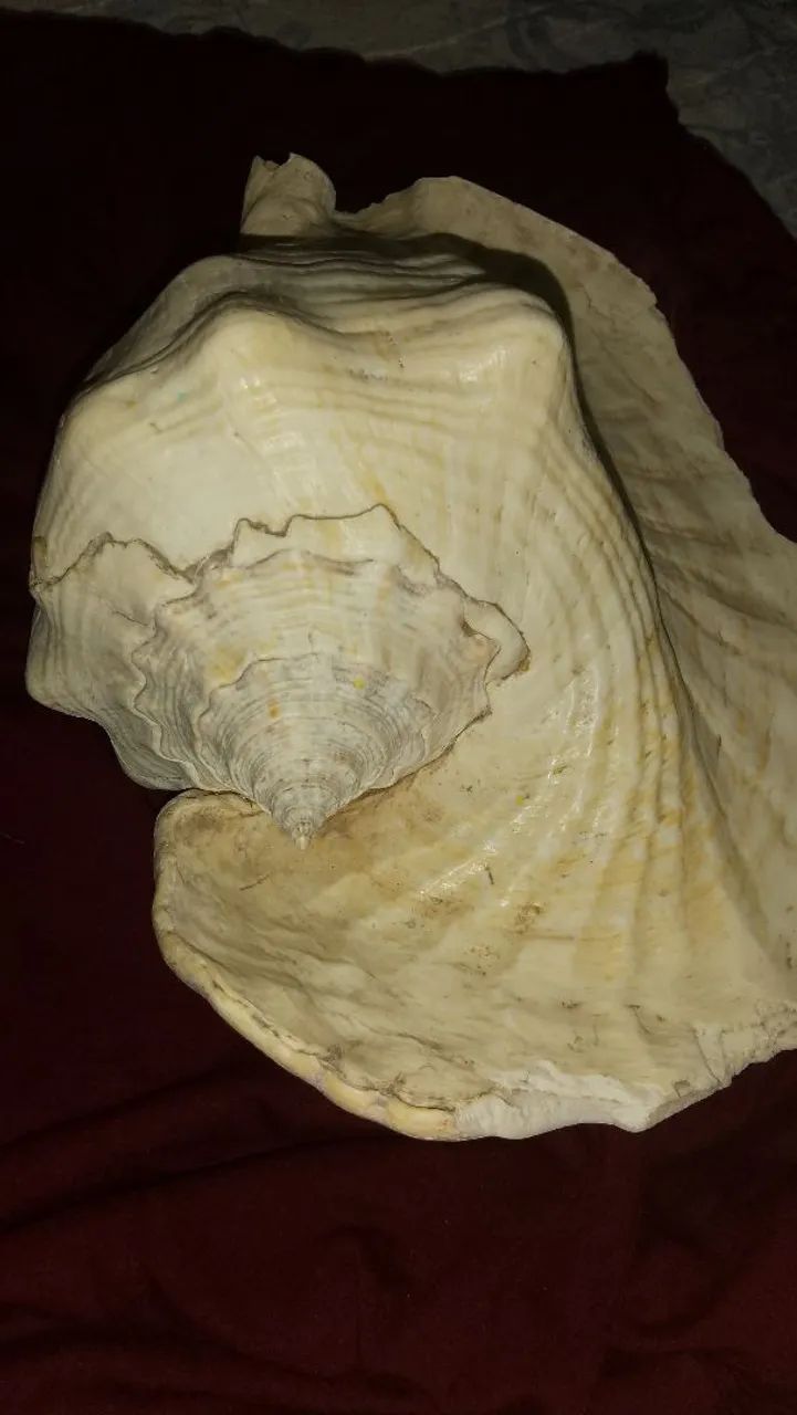 Decoração 