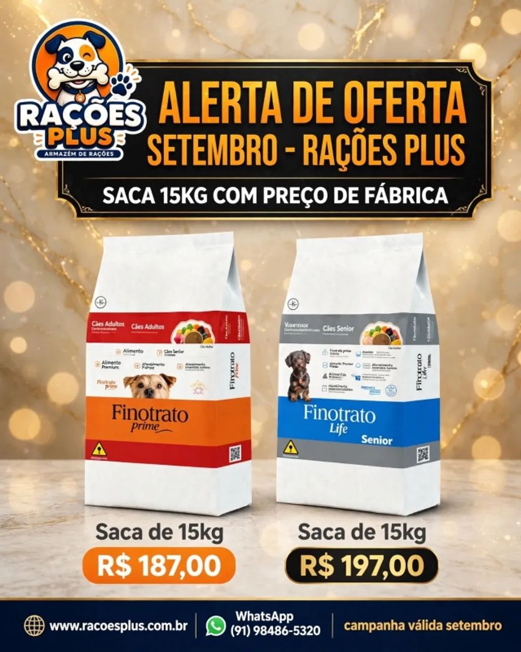 Cães e Gatos - Foto 2
