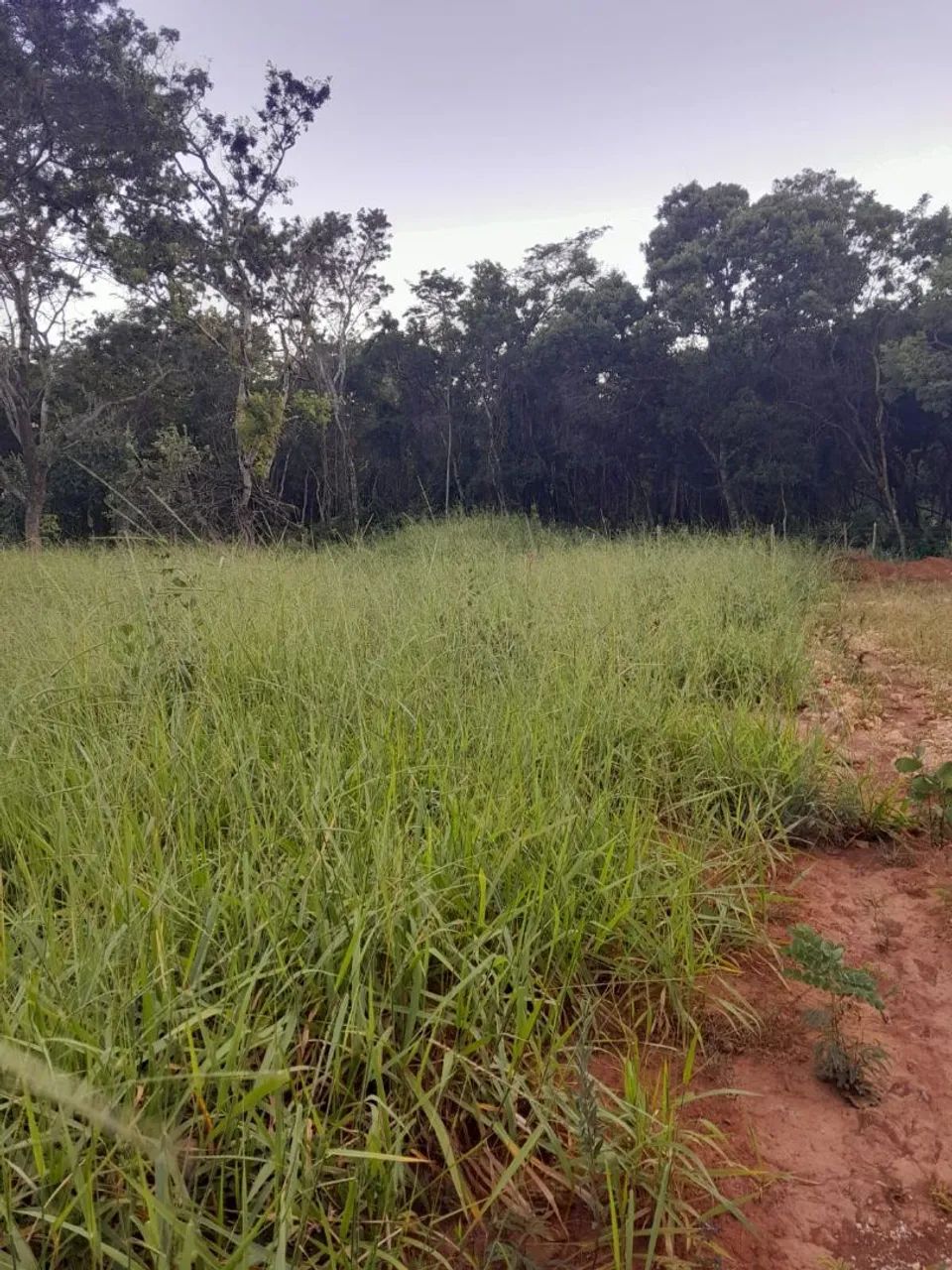 Foto - Lagoa Santa - 