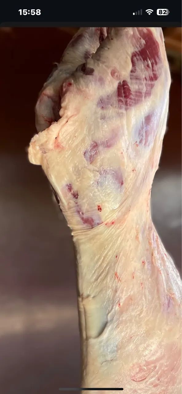 Carneiro fresco  - Foto 2
