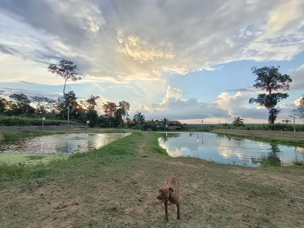 Vende-se sítio/chácara  - Foto 3