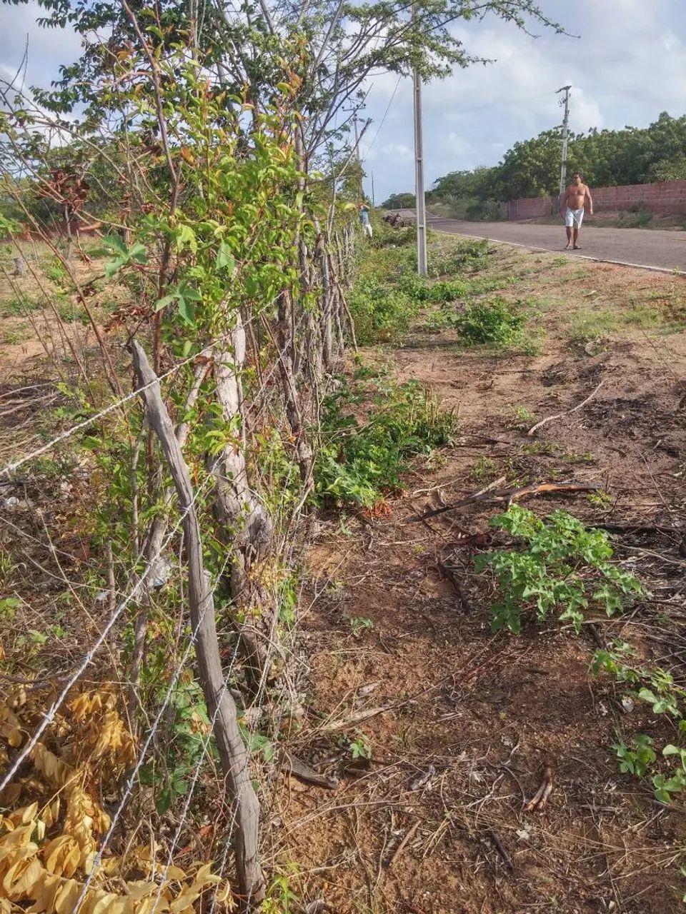 Foto - Fortaleza - Itaperi