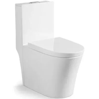 Bacia Sanitária Monobloco vendas e instalação  - Foto 3