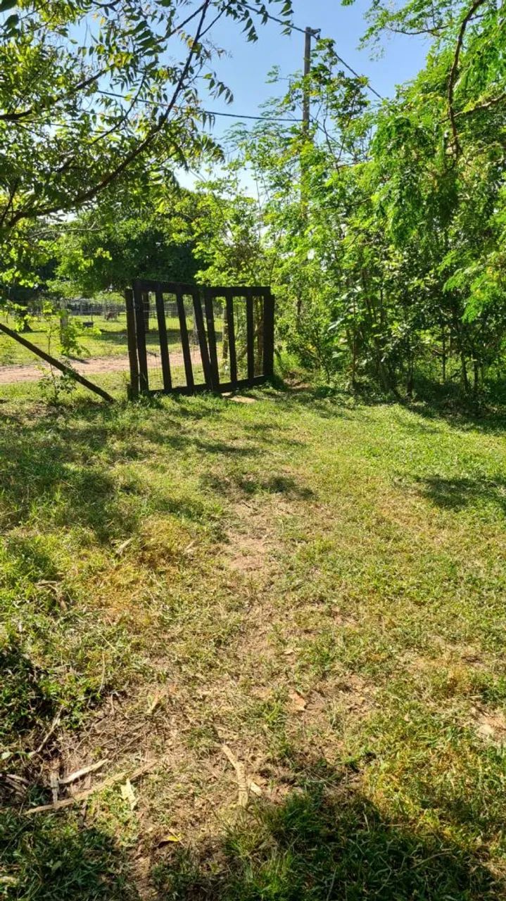 Vendo Área Rural 30.000m2 - Foto 2