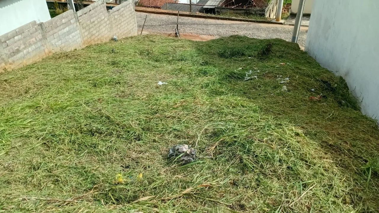 BICAS-MG,  ExcelenteTerreno  - Foto 3