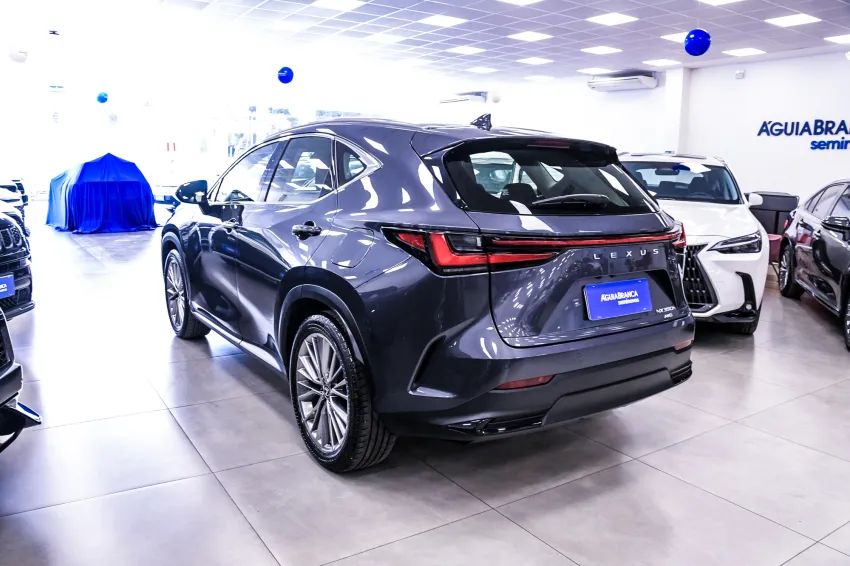 Lexus NX-350h Luxury 2.5 16V Aut. (hybrid), foto 7 de 19