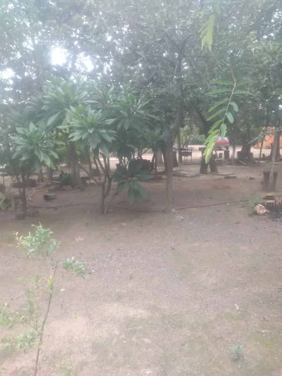 Foto - Brasília - Setor Industrial (Gama)