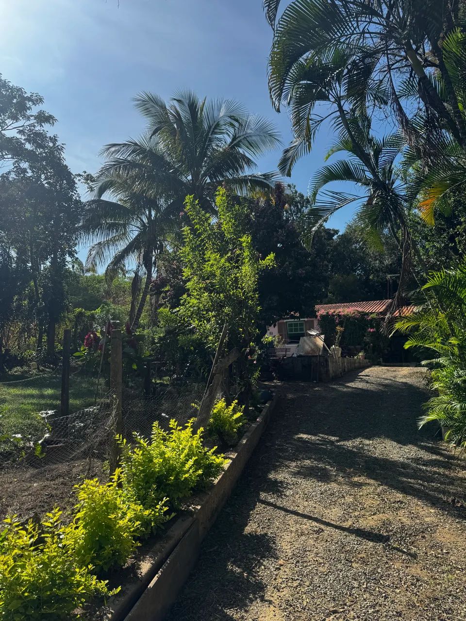 Vendo chácara em monte mor - Foto 2