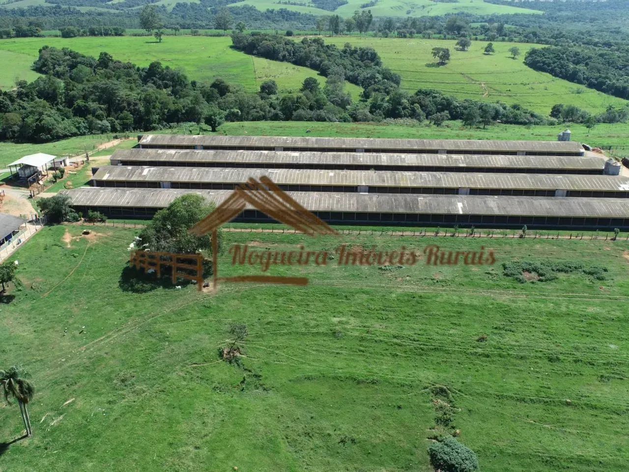 Sítio com galpões de granja, 85 mil aves, área com 20,8 alqueires - Foto 5