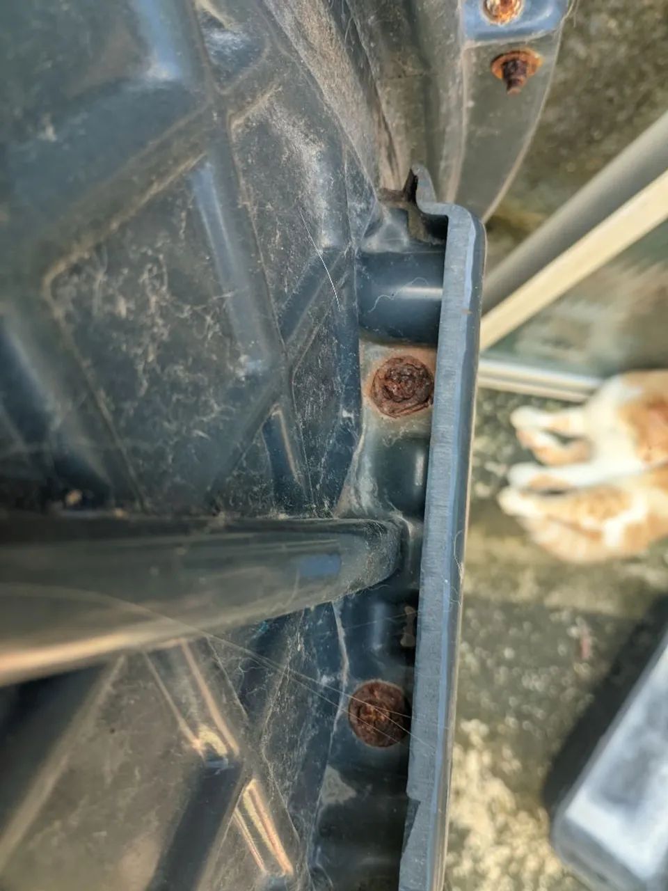 Roda para gatos - Foto 3
