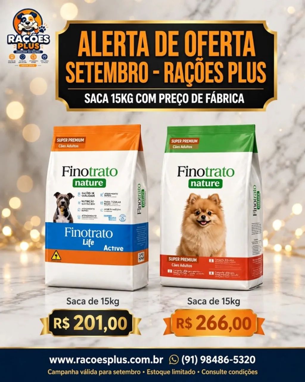 Cães e Gatos - Foto 3