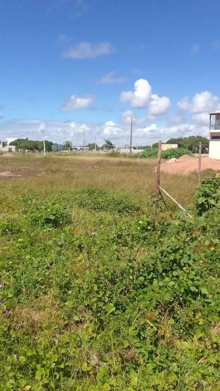 Ótimo lotes em tamandaré *20 - Foto 2