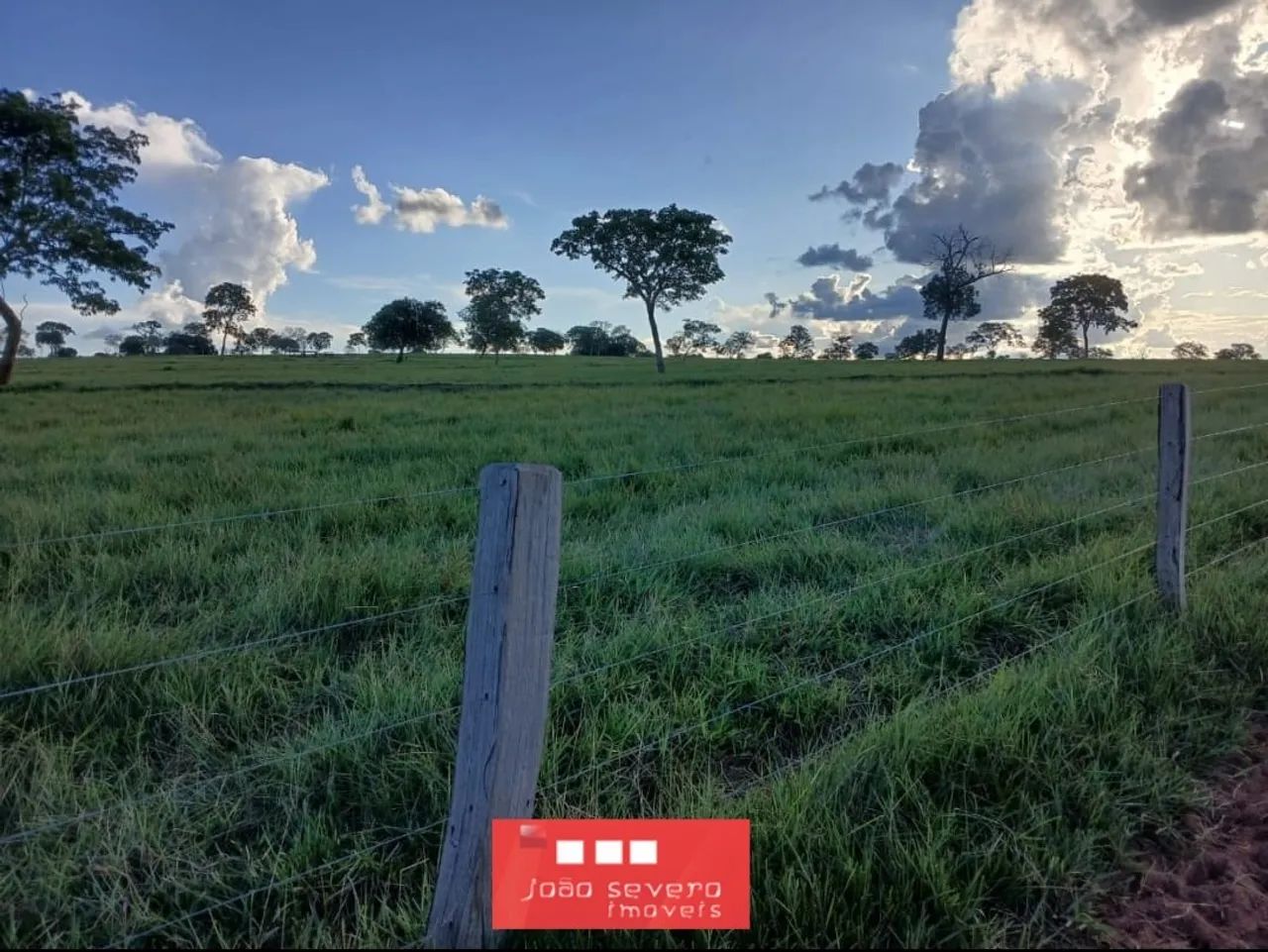 Fazenda para Venda em Torixoréu - Foto 2