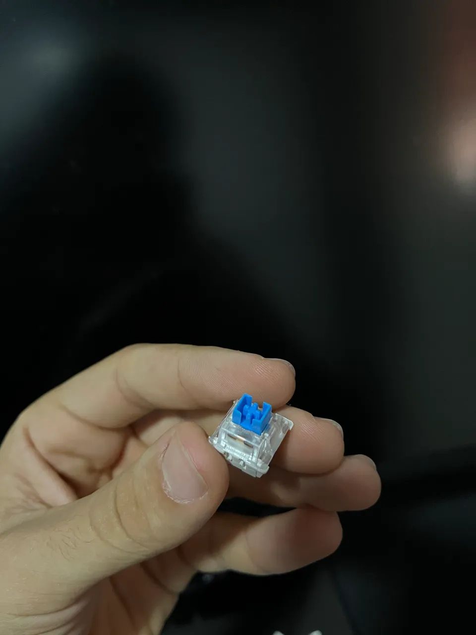 Switch Huano Blue