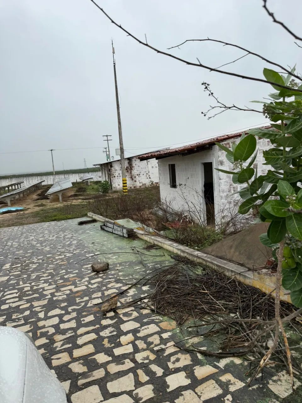 Canteiro com 10.000 m² Murado e Pronto para Grandes Projetos - Oportunidade Única - Foto 7