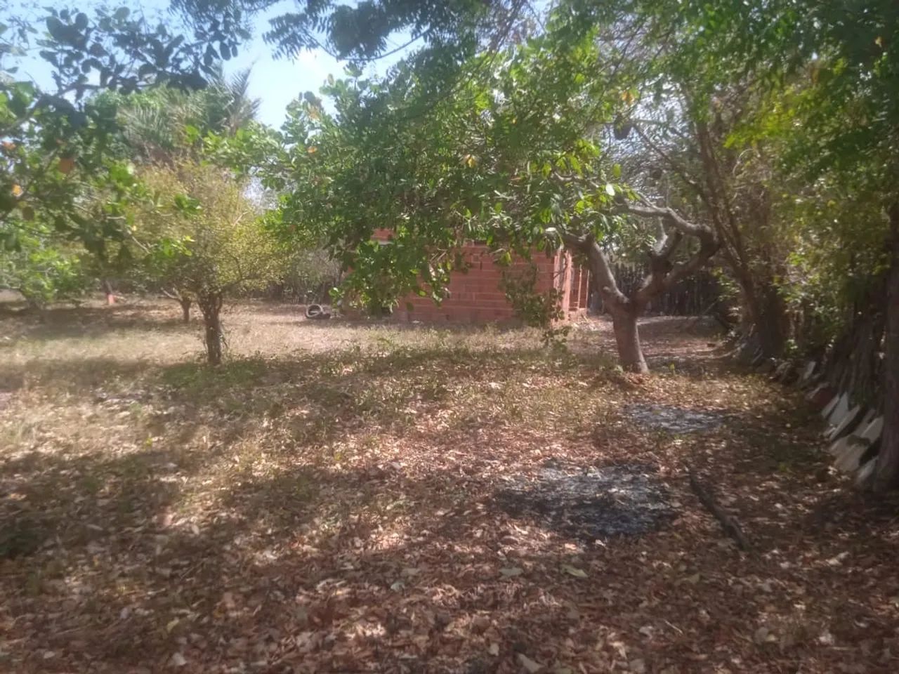 Foto - Fortaleza - Parque Dois Irmãos