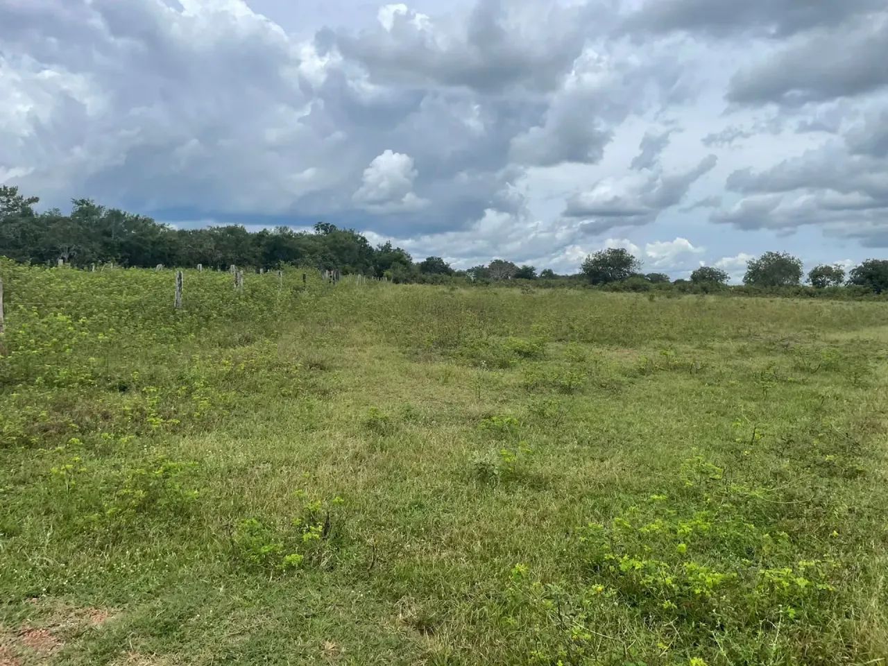 Fazenda de 267 alqueires no  Vale do Araguaia - Foto 2