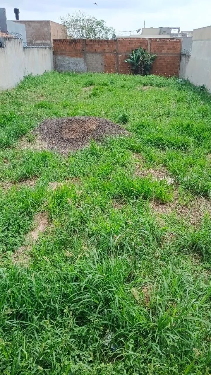 Fazemos roçadas em terrenos