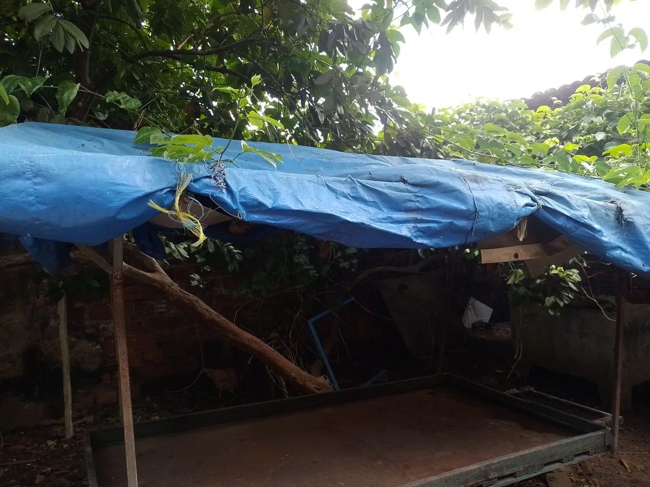 Vende-se um carinho de geladeira  - Foto 2