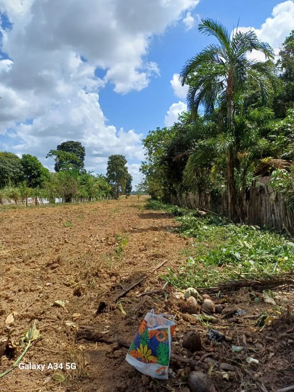 Terreno documentado em Belterra - Foto 5
