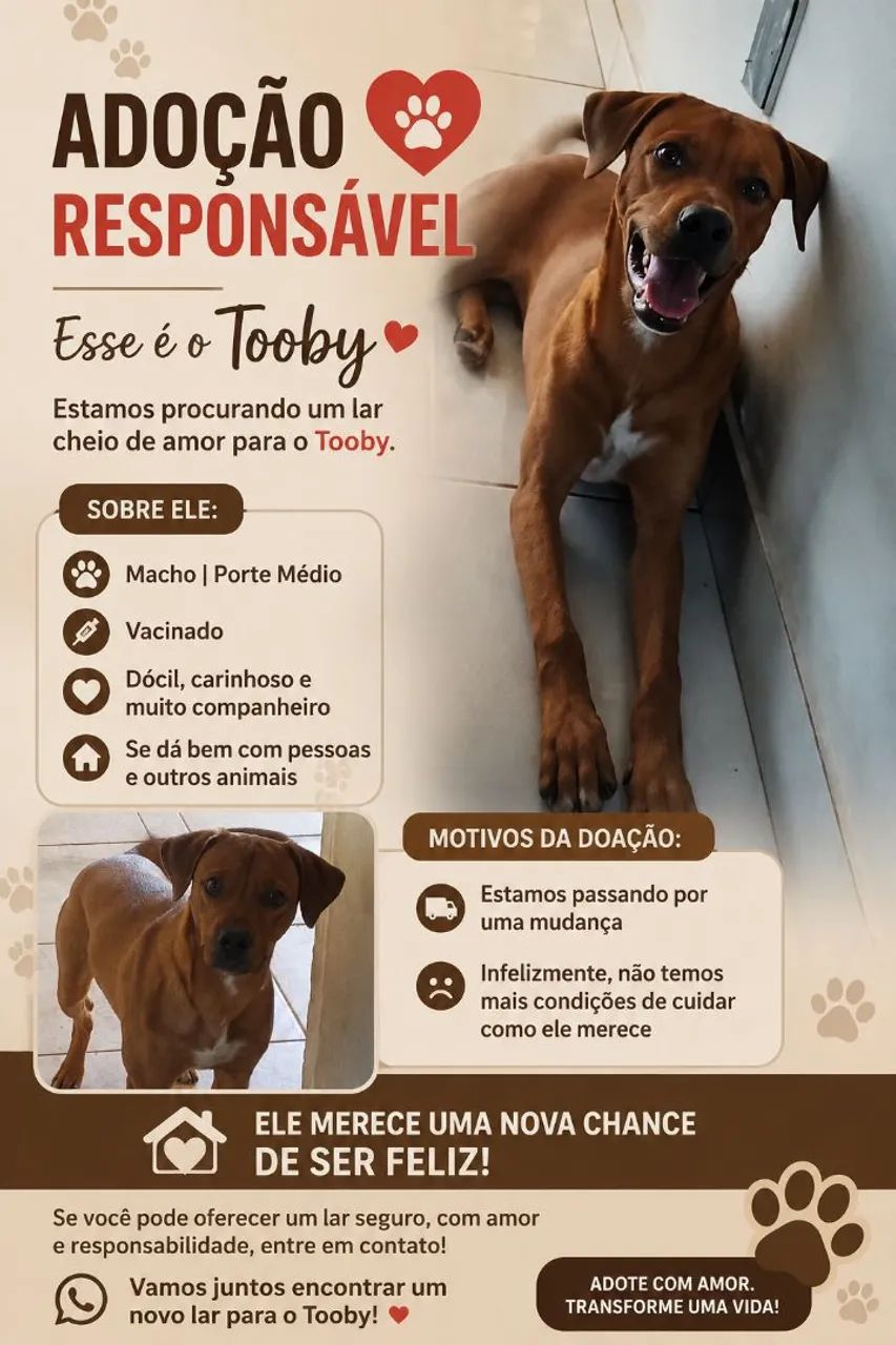 Doação 