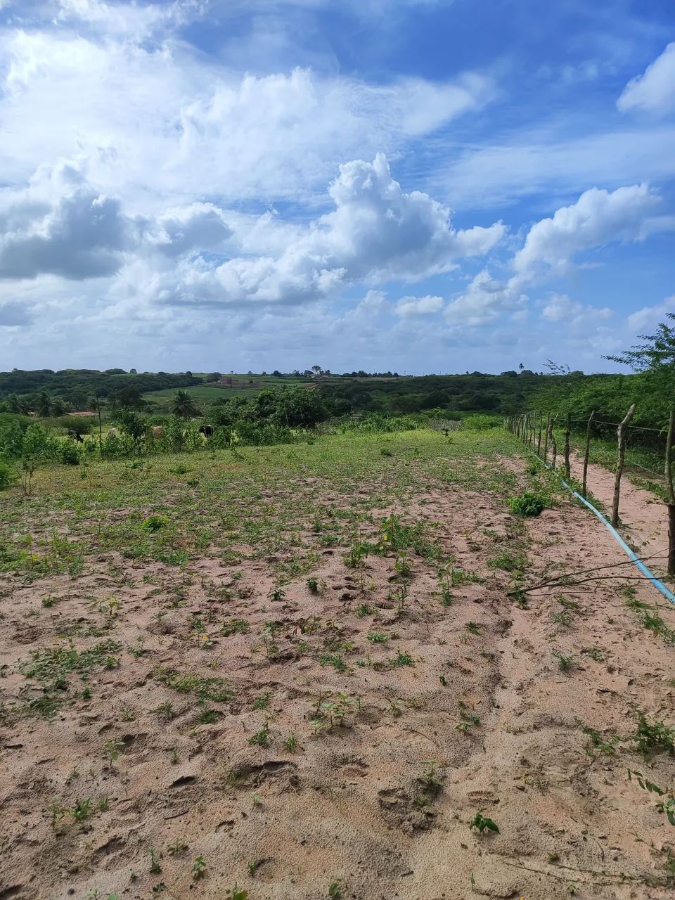 fazenda com 40 hectares em vera cruz-RN - Foto 4