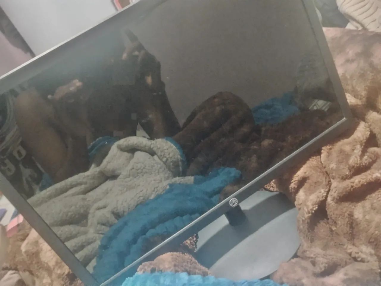 Monitor  - Foto 2