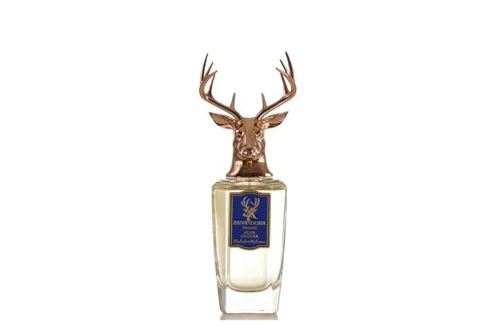 Perfume panadora aqua de dora masculino 100ml