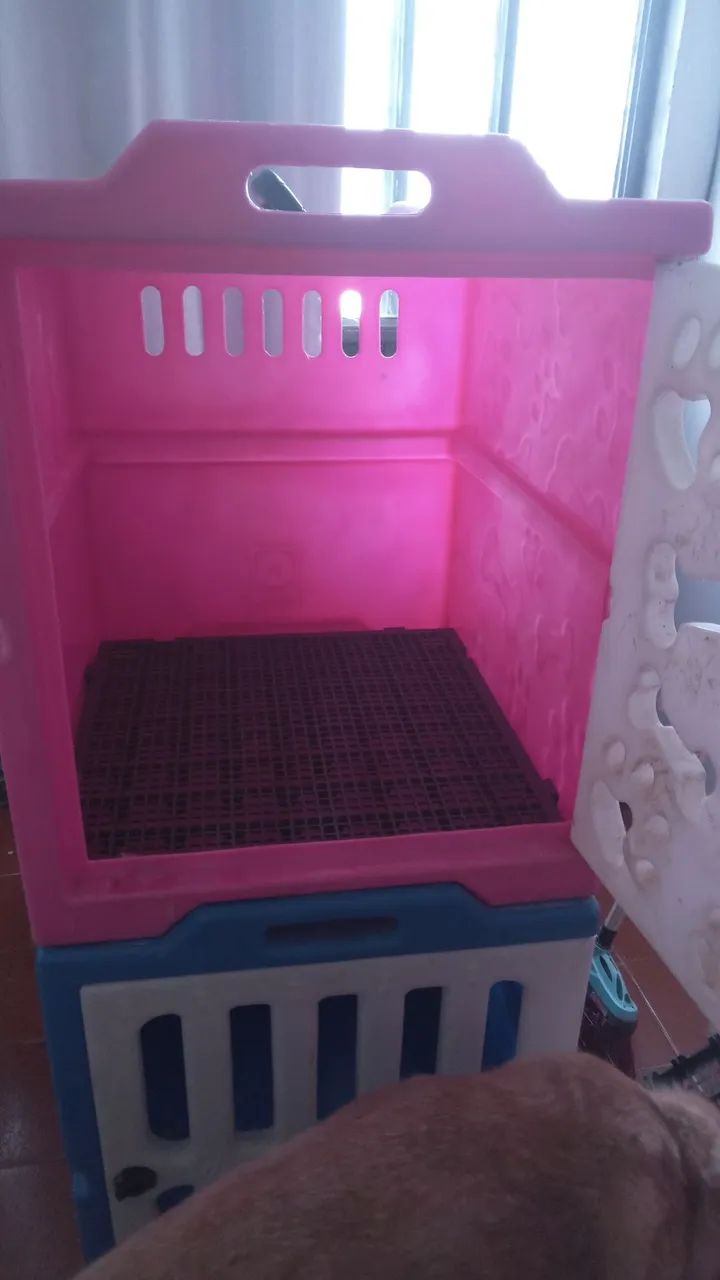 Casinhas para banho e tosa - Foto 2