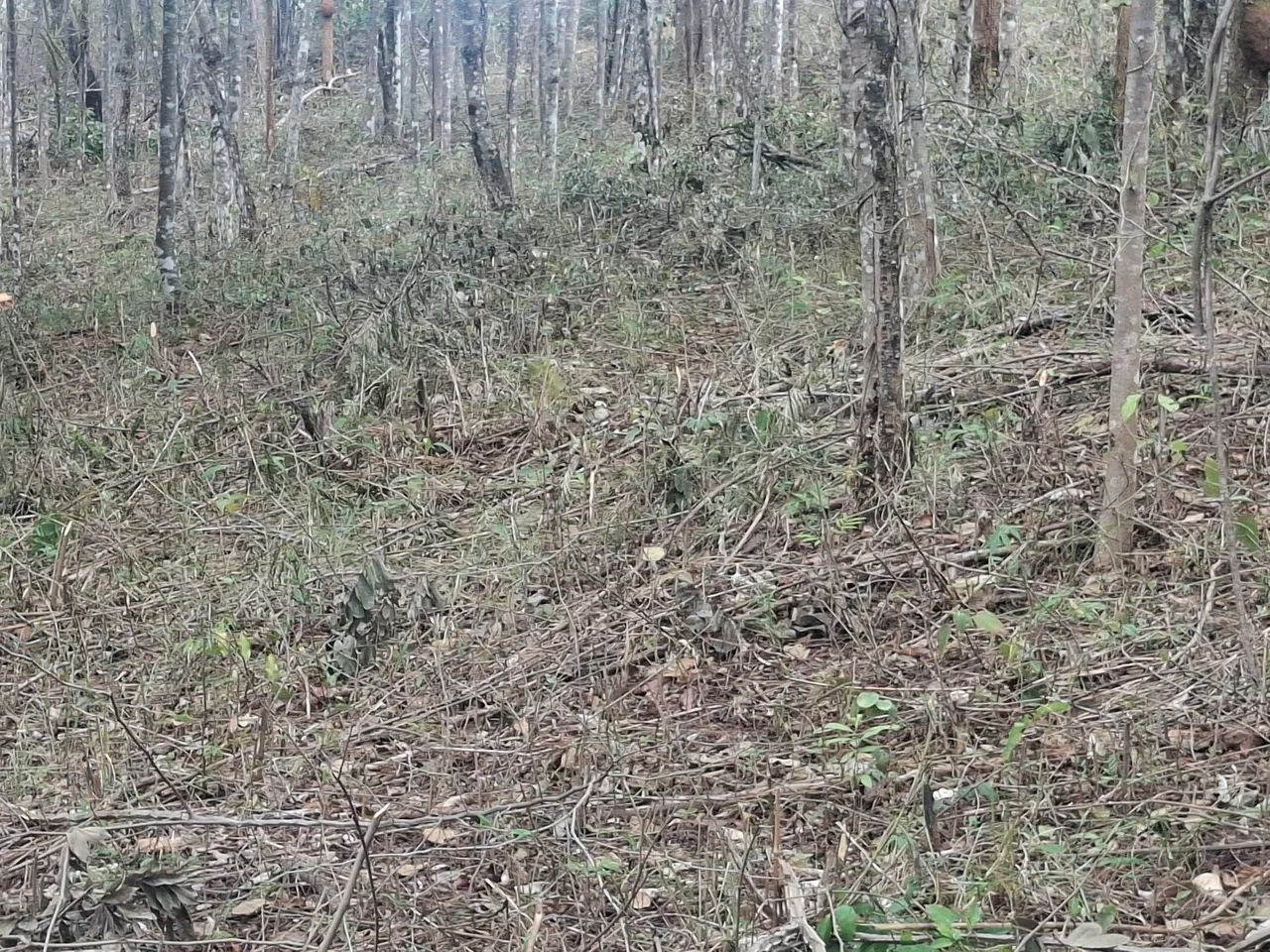 Vendo ou troco Terreno Andrequicé - Foto 3