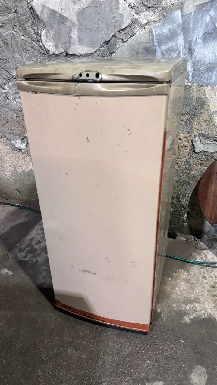 Vendo frezer vertical  - Foto 2