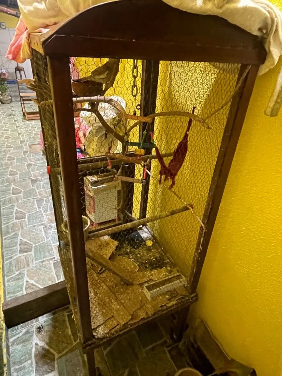 Viveiro  - Foto 2