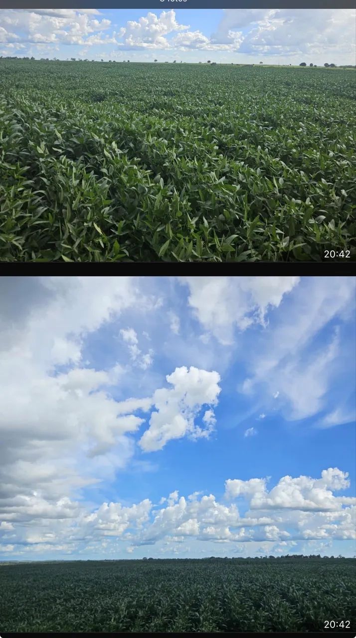 Fazenda próximo a campina verde  - Foto 2