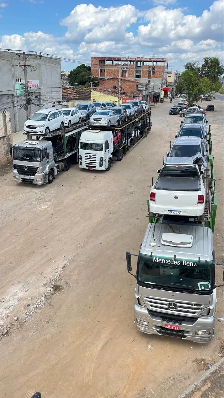 Guincho 24h e cegonha  - Foto 4