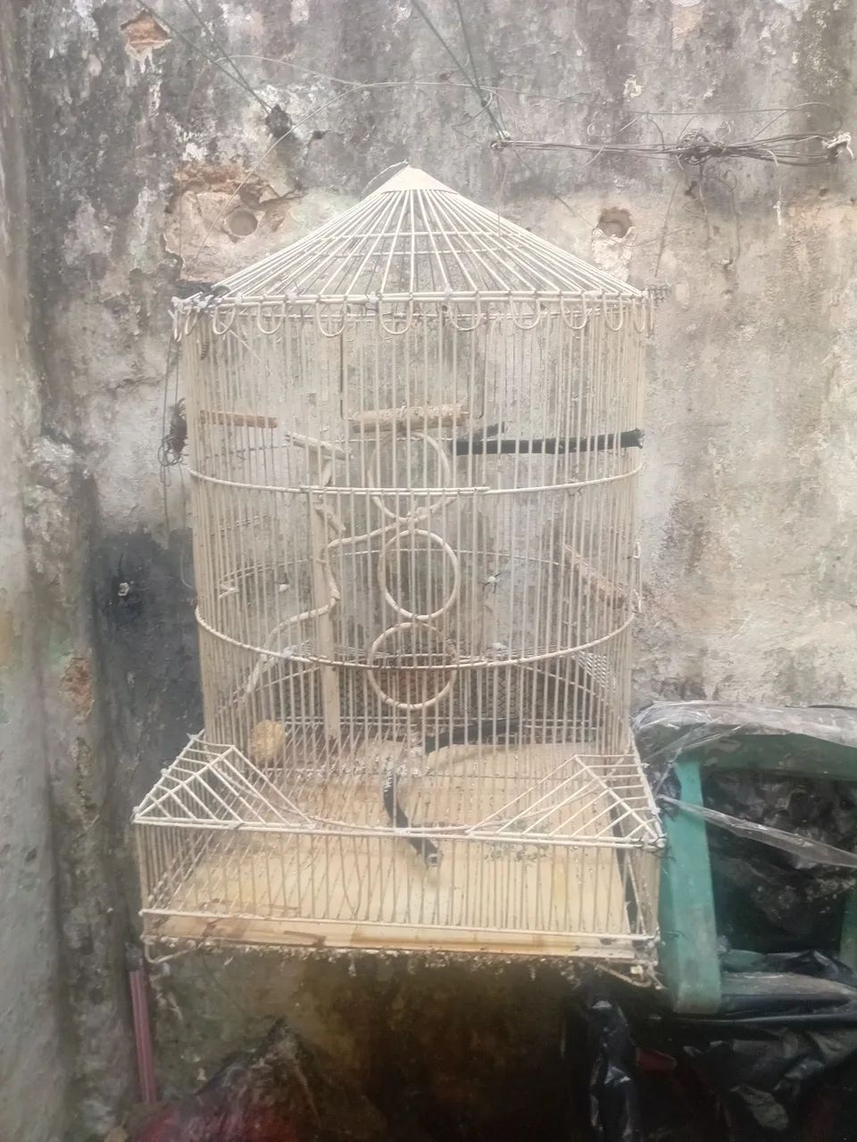 Vende_se gaiola  - Foto 2