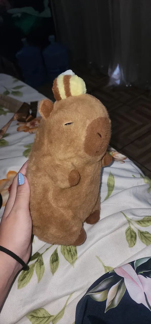 Ursinho capivara - Foto 2