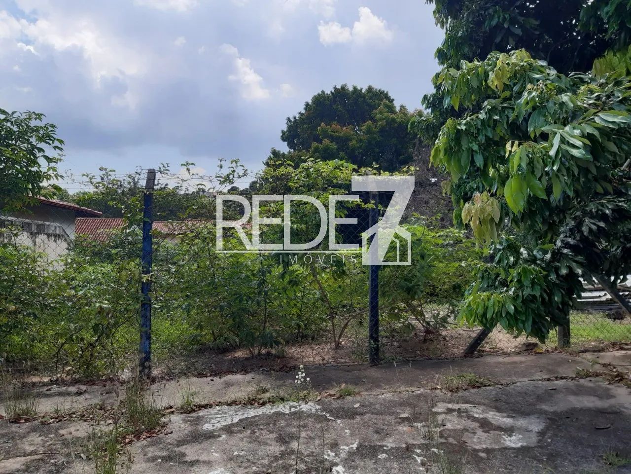 terreno - Jardim Chapadão - Campinas - Foto 5