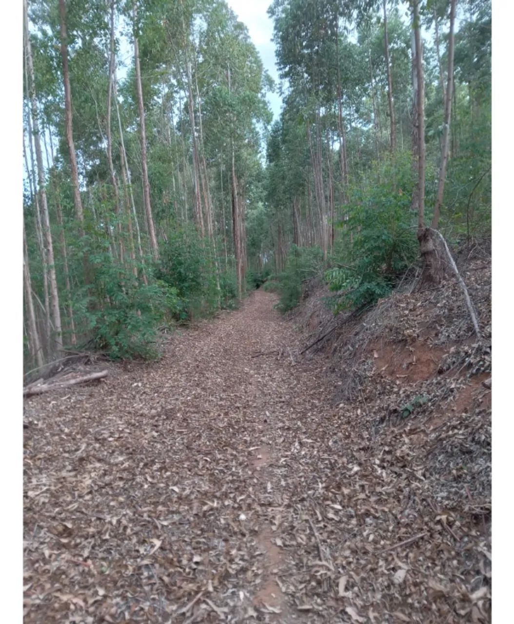 Terreno de 15 hectares com água em parcelas anuais em Itarana no E.S. - Foto 3